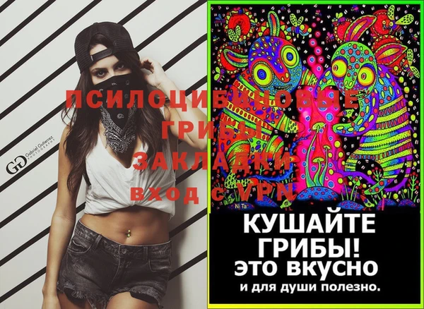 2c-b Абдулино