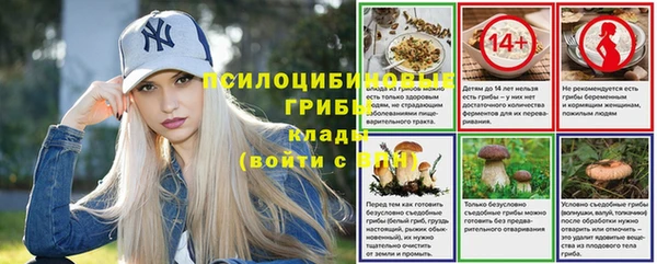 каннабис Абаза