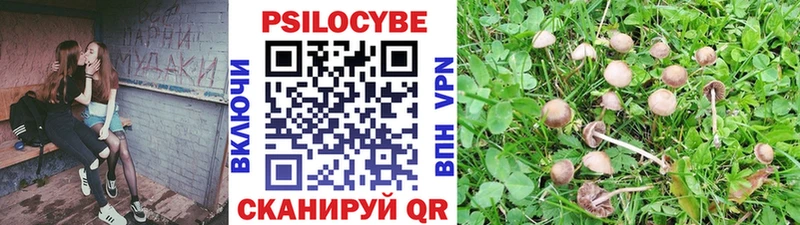 что такое   Смоленск  кракен как зайти  Галлюциногенные грибы Magic Shrooms 