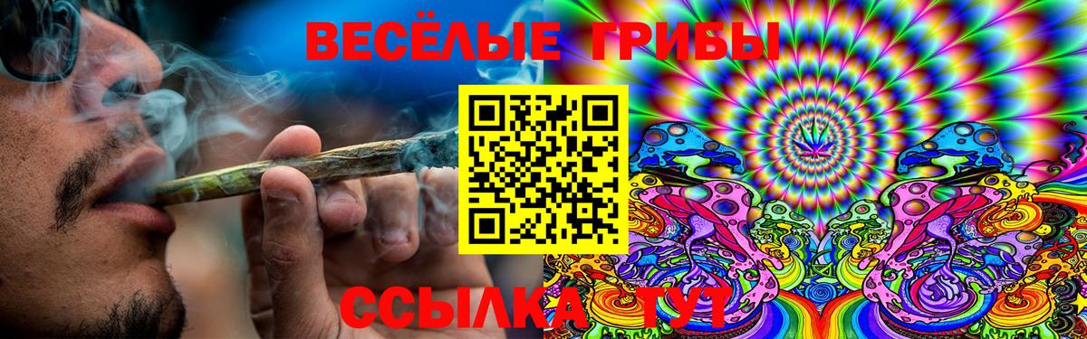 Смоленск  Псилоцибиновые грибы мицелий  Галлюциногенные грибы Cubensis  Вход с VPN 